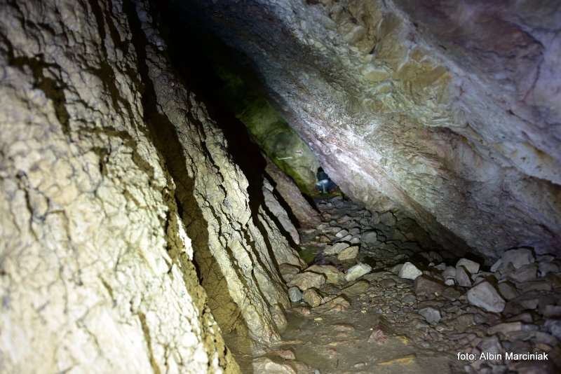 Jaskinia Mylna w Dolinie Kościeliskiej 8