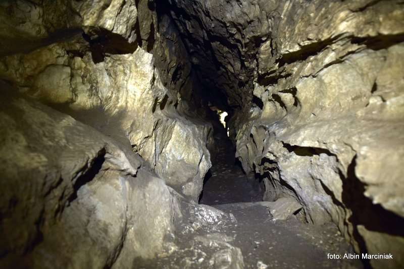 Jaskinia Radochowska 28