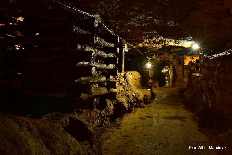 Zabytkowa Kopalnia Srebra w Tarnowskich Gorach UNESCO 11