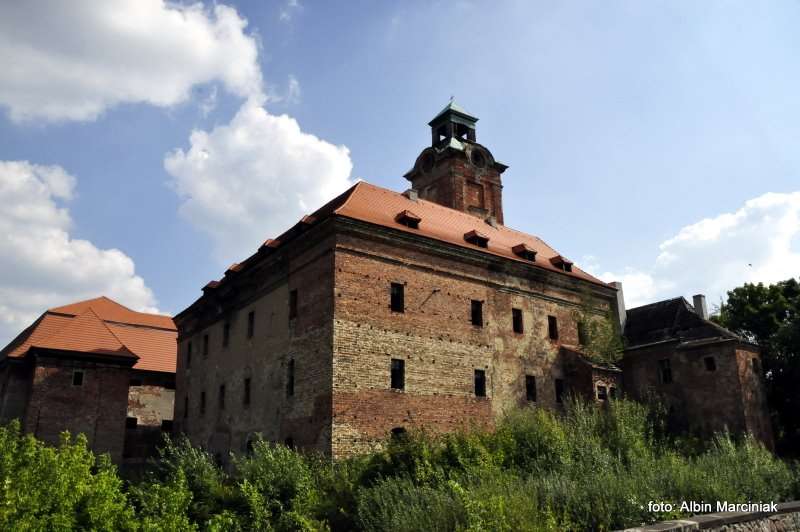 Zamek Bibersteinów w Żarach 16
