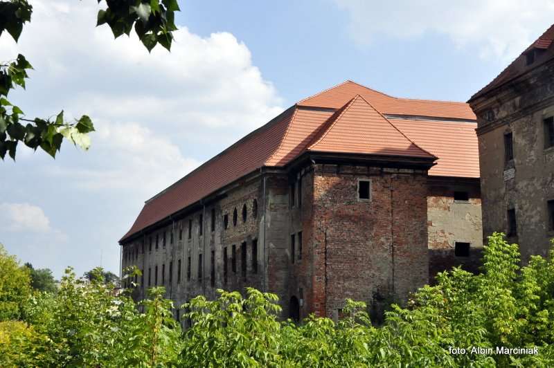 Zamek Bibersteinów w Żarach 17