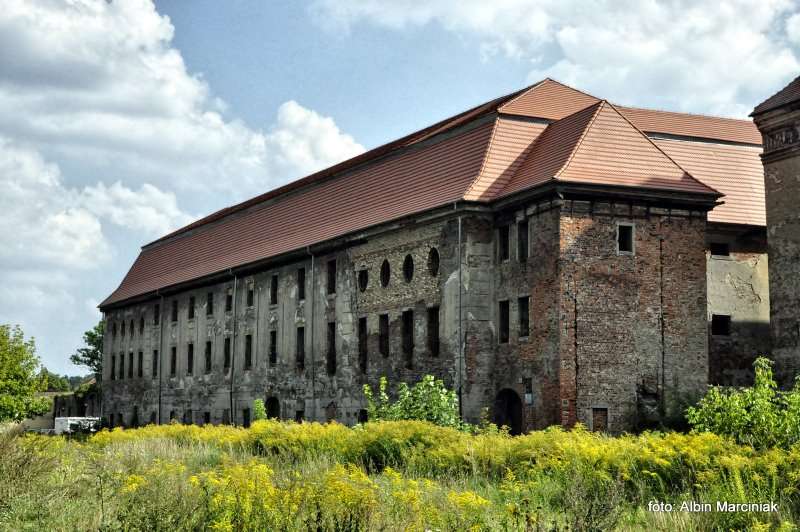 Zamek Bibersteinów w Żarach 19