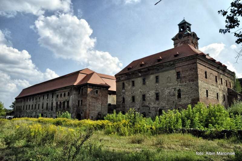 Zamek Bibersteinów w Żarach 20