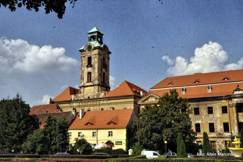 Zamek Bibersteinów w Żarach 4