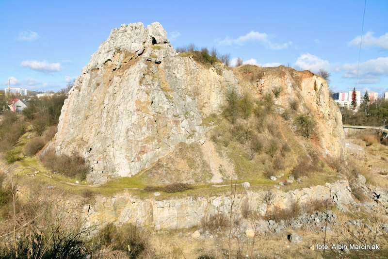 Rezerwat przyrody Kadzielnia Kielce Skalka Geologow 4