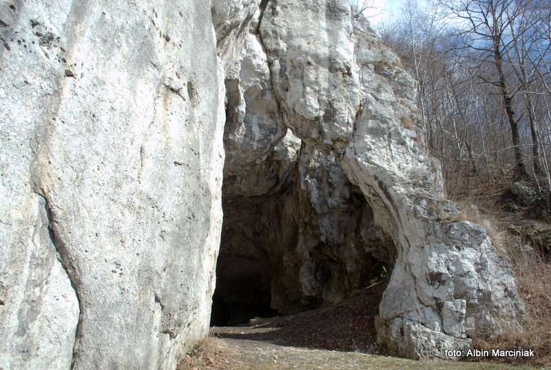 Jaskinia Mamutowa 1