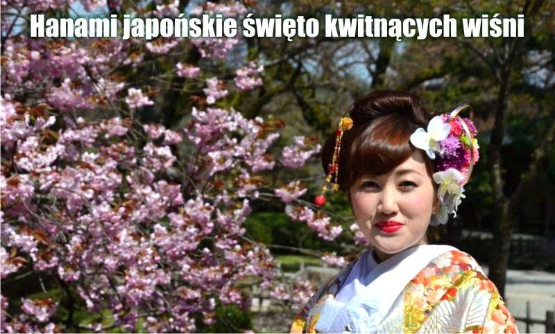 Hanami japońskie święto kwitnących wiśni 2