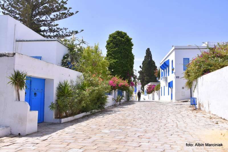 sidi bou said Tunezja Afryka Polnocna 41