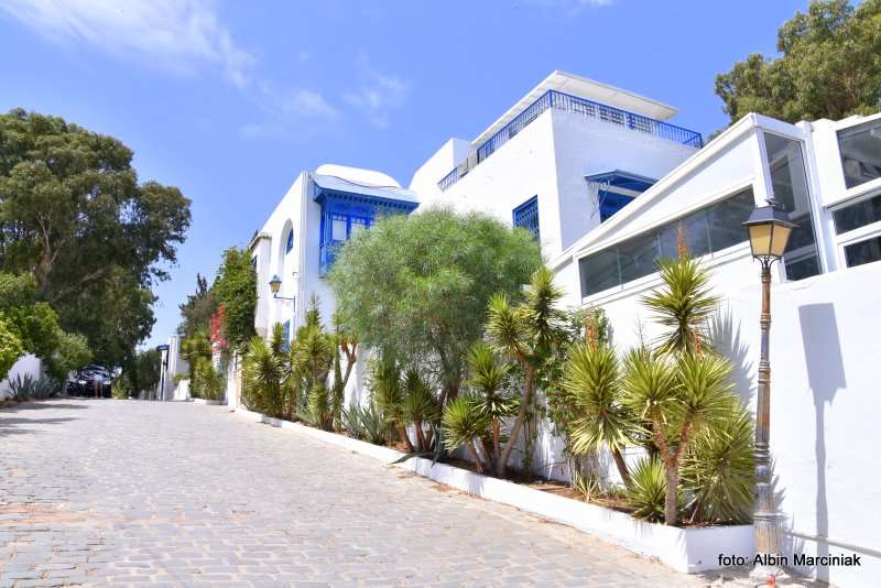 sidi bou said Tunezja Afryka Polnocna 44