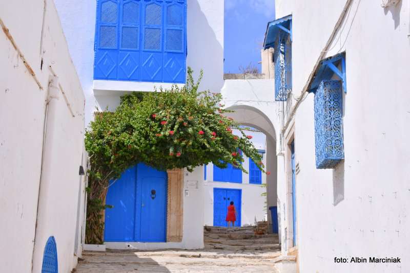 sidi bou said Tunezja Afryka Polnocna 47