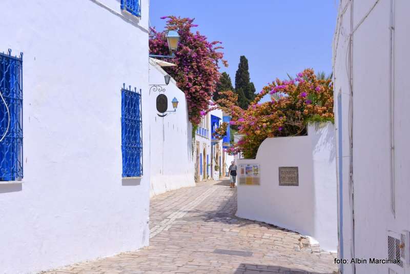 sidi bou said Tunezja Afryka Polnocna 8