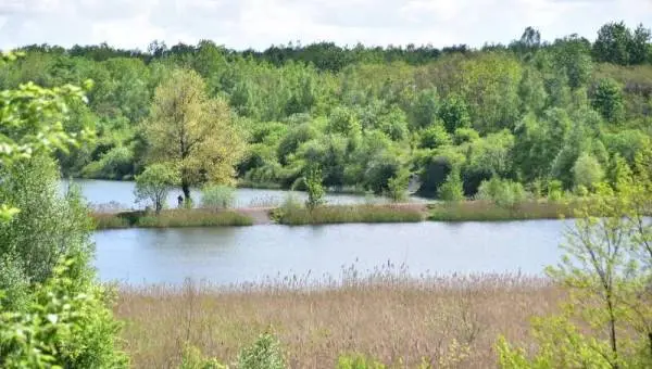 Zespół przyrodniczo-krajobrazowy Żabie Doły koło Bytomia