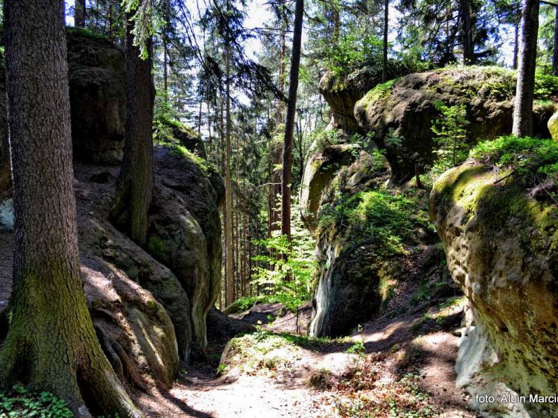 Głazy Krasnoludków w Górach Stołowych