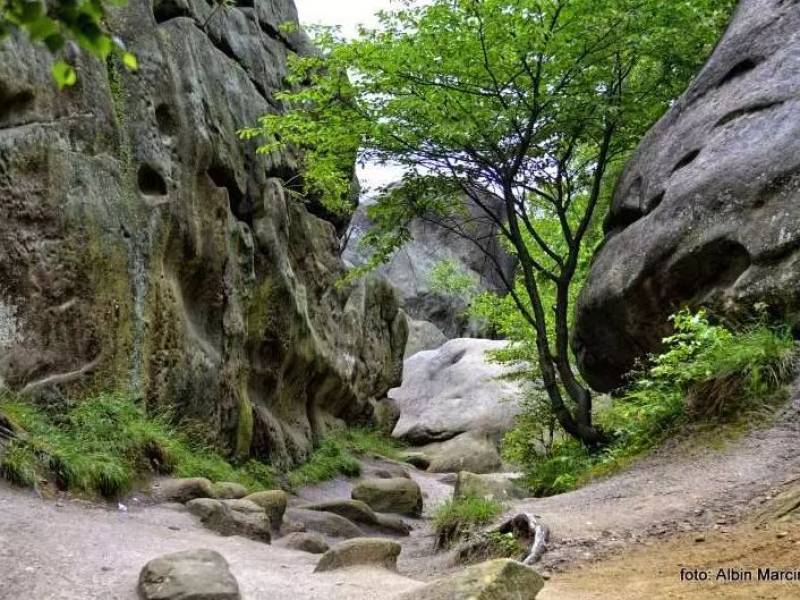 Skalny Rezerwat Przyrody Prządki