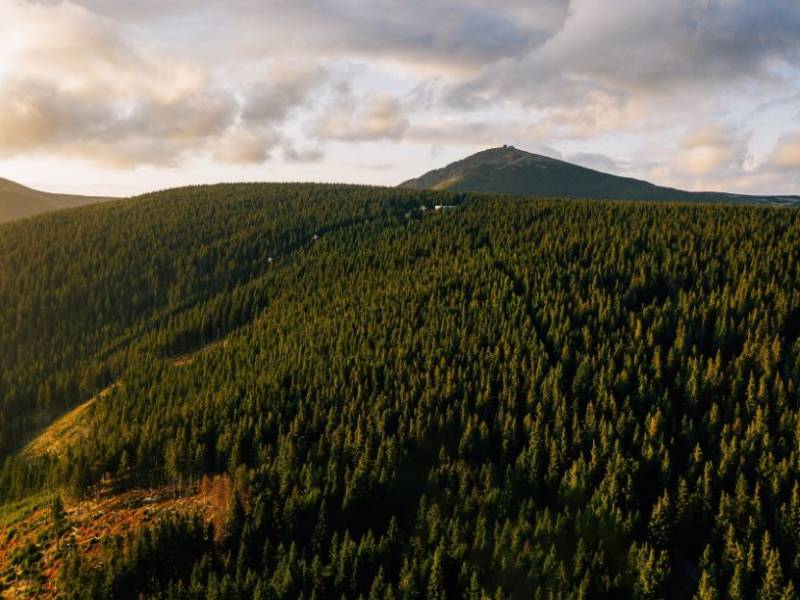 Planujesz jesienny wyjazd w góry? Wybierz Karkonosze