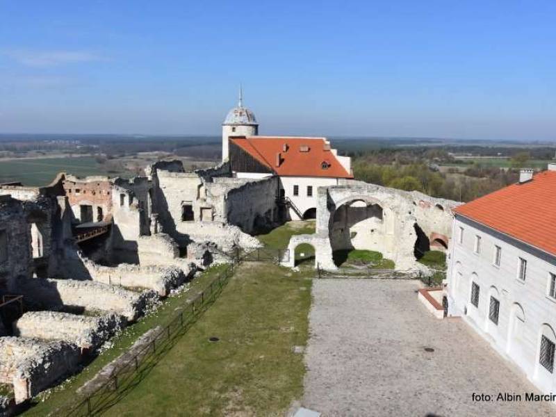 Zamek w Janowcu nad Wisłą