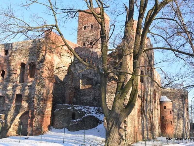 Zamek w Ząbkowicach Śląskich