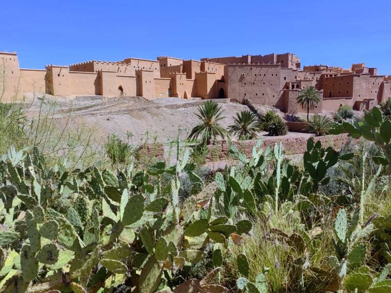 Kasbah Taourirt - zabytkowy ufortyfikowany kompleks w Ouarzazate w Maroku.