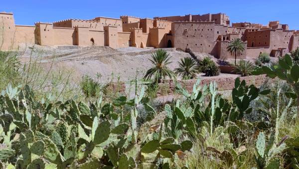 Kasbah Taourirt - zabytkowy ufortyfikowany kompleks w Ouarzazate w Maroku.