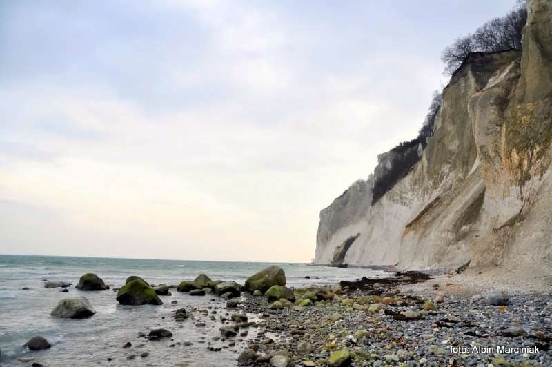 Møns Klint Dania białe klify w regionie Zelandia 10