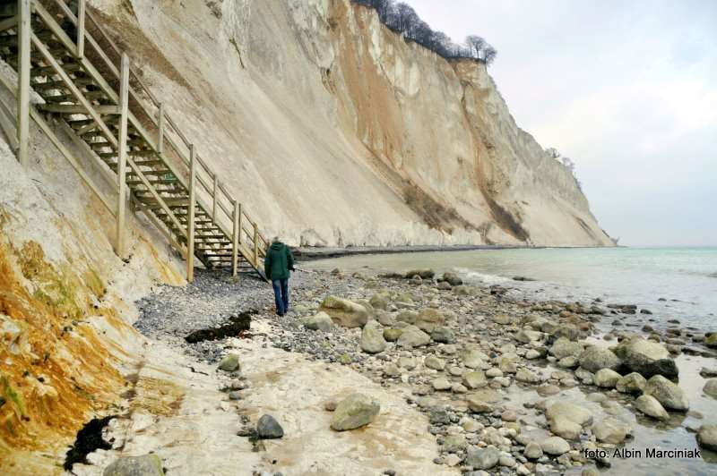 Møns Klint Dania białe klify w regionie Zelandia 11