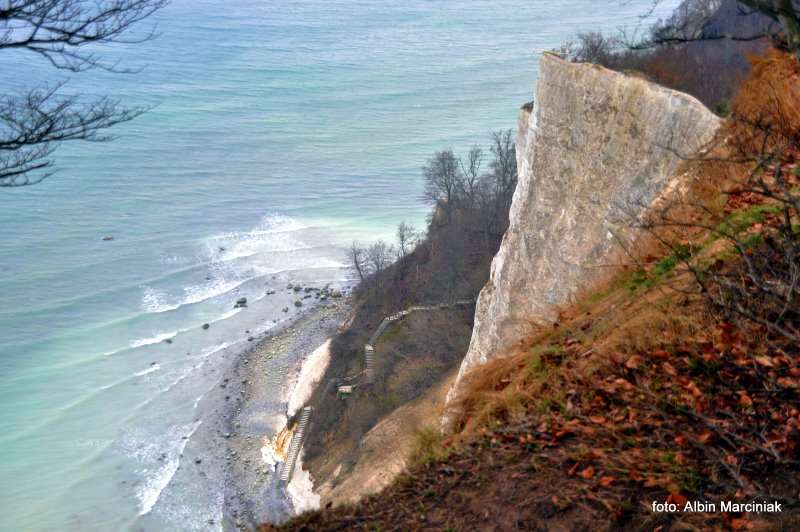 Møns Klint Dania białe klify w regionie Zelandia 12