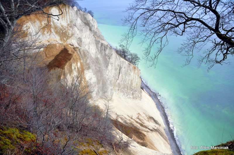 Møns Klint Dania białe klify w regionie Zelandia 14