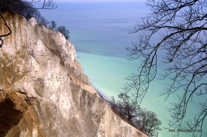 Møns Klint Dania białe klify w regionie Zelandia 15