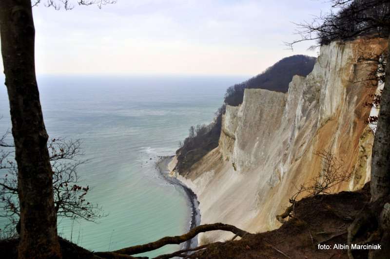 Møns Klint Dania białe klify w regionie Zelandia 16