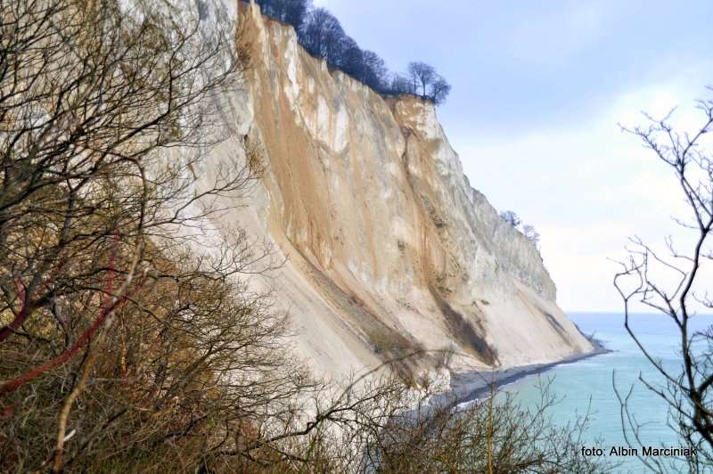 Møns Klint Dania białe klify w regionie Zelandia 4