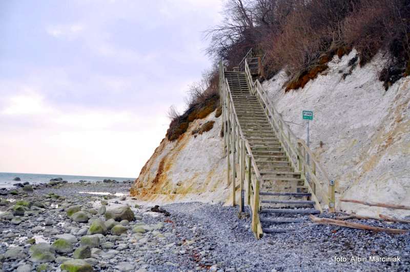 Møns Klint Dania białe klify w regionie Zelandia 6