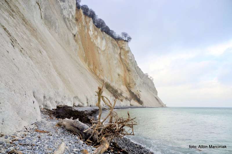 Møns Klint Dania białe klify w regionie Zelandia 7