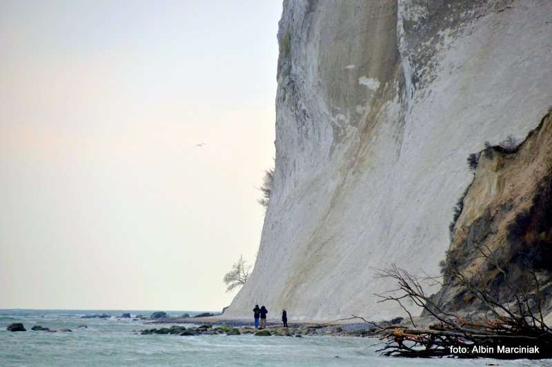 Møns Klint Dania białe klify w regionie Zelandia 8