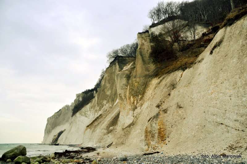 Møns Klint Dania białe klify w regionie Zelandia 9