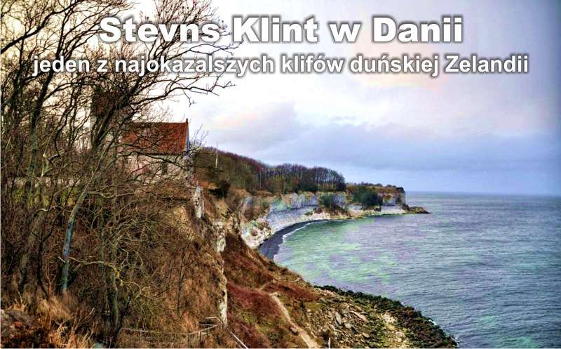 Stevns Klint w Danii baner