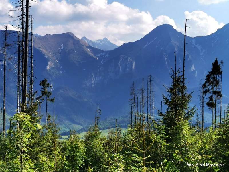 Słowacja Bachledka Tatry Pieniny 15