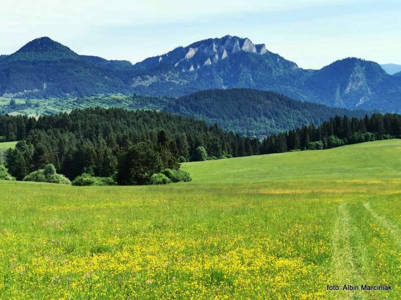 Słowacja Bachledka Tatry Pieniny 22