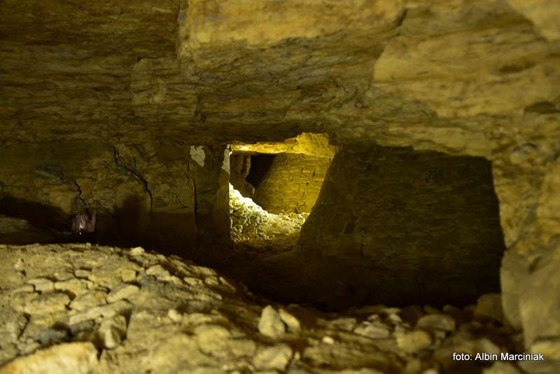 Tajemnice podziemnej Odessy jaskinie i labirynty Babelya 10