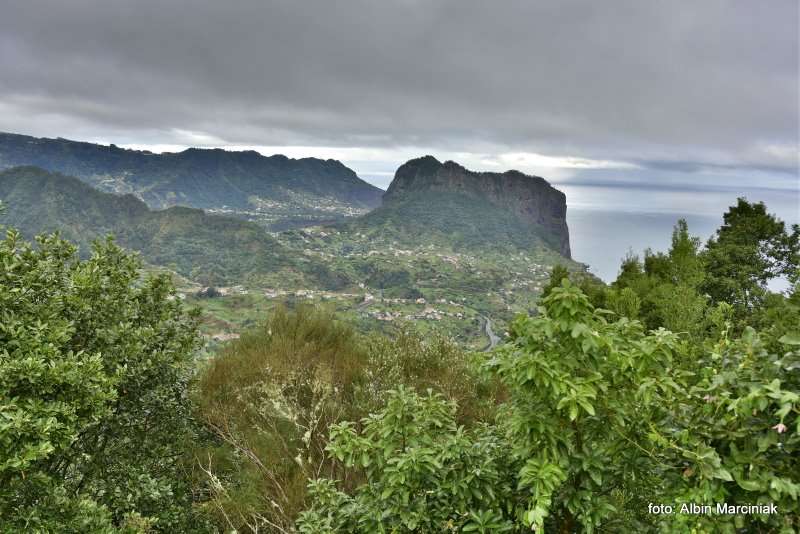 Madeira Portugal tropikalny las deszczowy 8