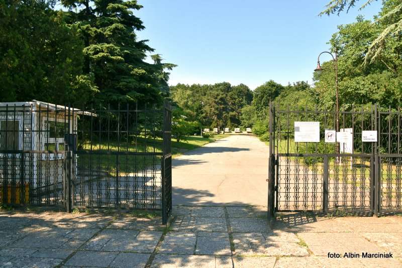 Warna Muzeum Władysława Warneńczyka 1