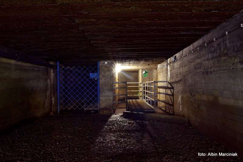 Schron kolejowy Tunel schronowy w Strzyżowie 15