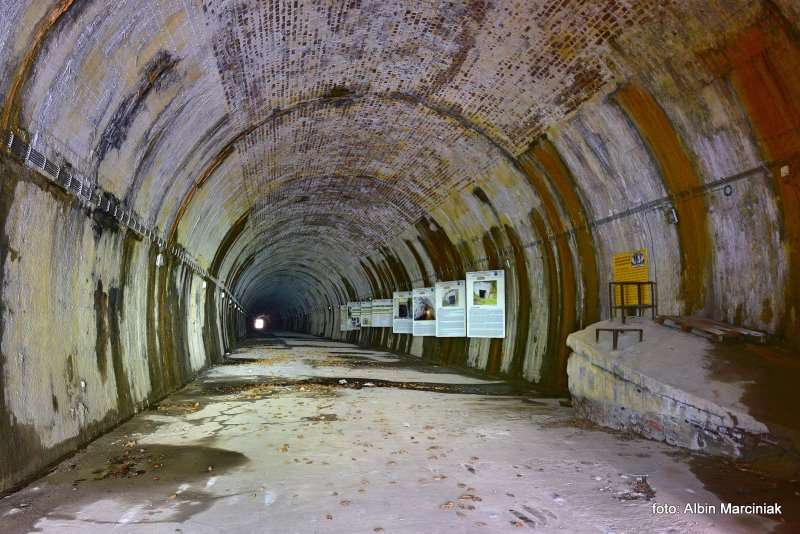 Schron kolejowy Tunel schronowy w Strzyżowie 3