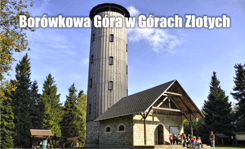 Borówkowa Góra w Górach Złotych 0