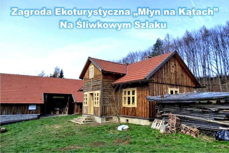 Zagroda Ekoturystyczna Młyn na Kątach