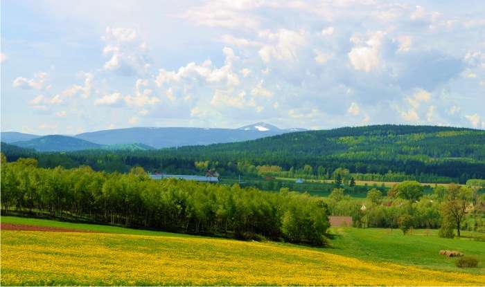 badanie turystów na Dolnym Śląsku 2