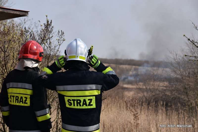 pożar łąk w Krakowie 30