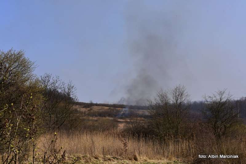 pożar łąk w Krakowie 32