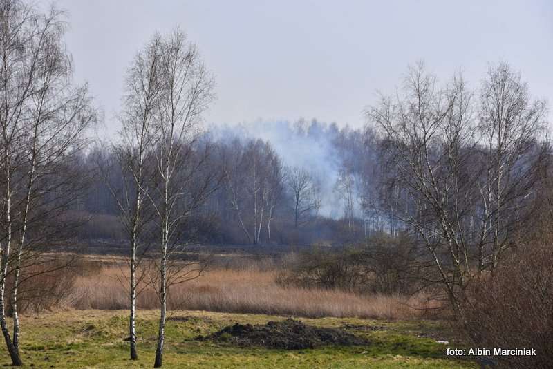 pożar łąk w Krakowie 36