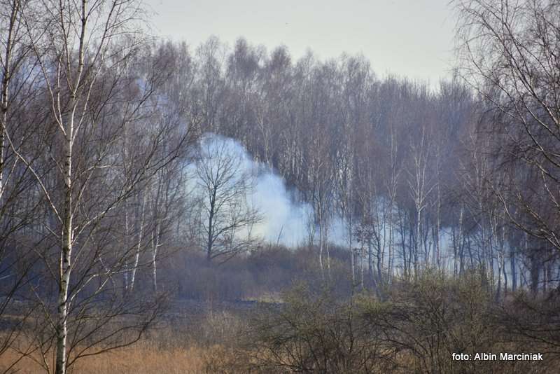 pożar łąk w Krakowie 39