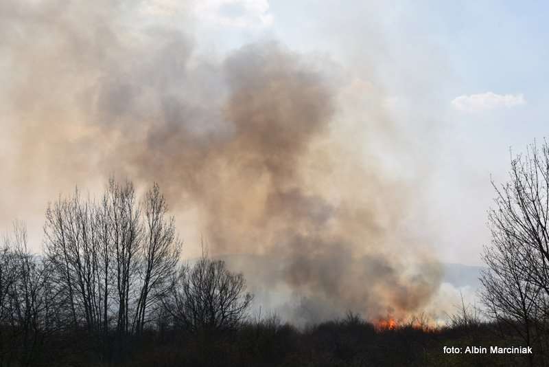 pożar łąk w Krakowie 42